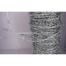 Hot-Dipped Galvanized Razor Barbed Wire/Barbed Wire for Fence